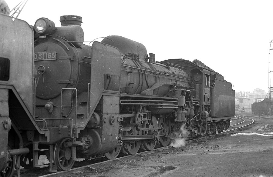 D51165