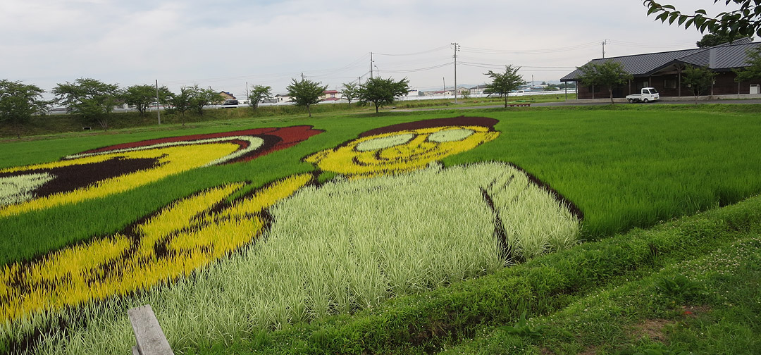 田んぼアート2018 田舎館村