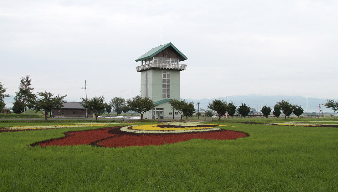 田んぼアート展望台