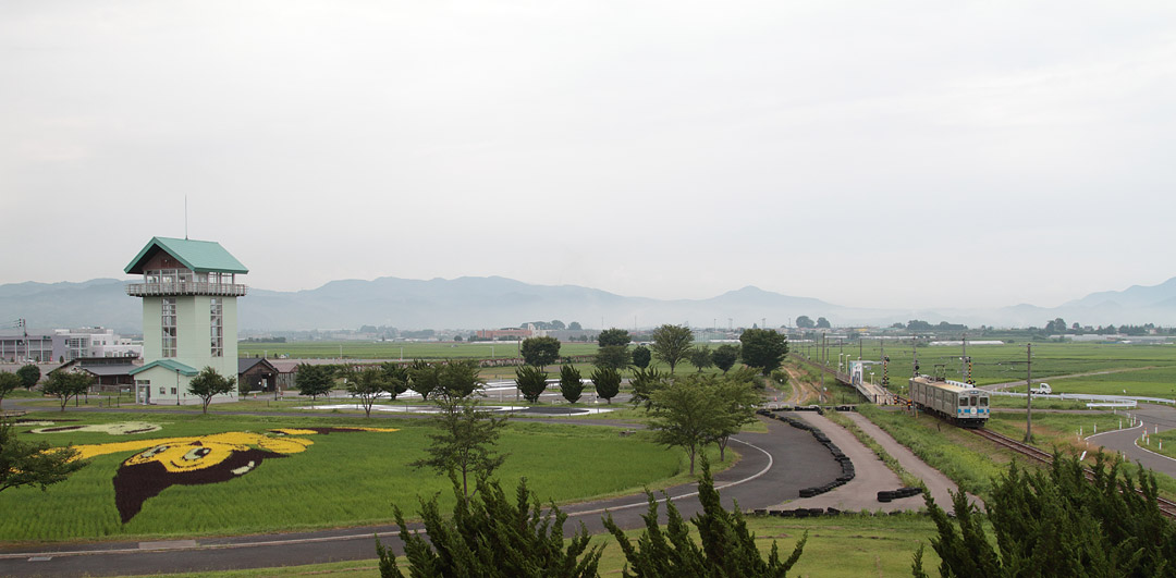 田んぼアート2018田舎館 第二会場逆俯瞰
