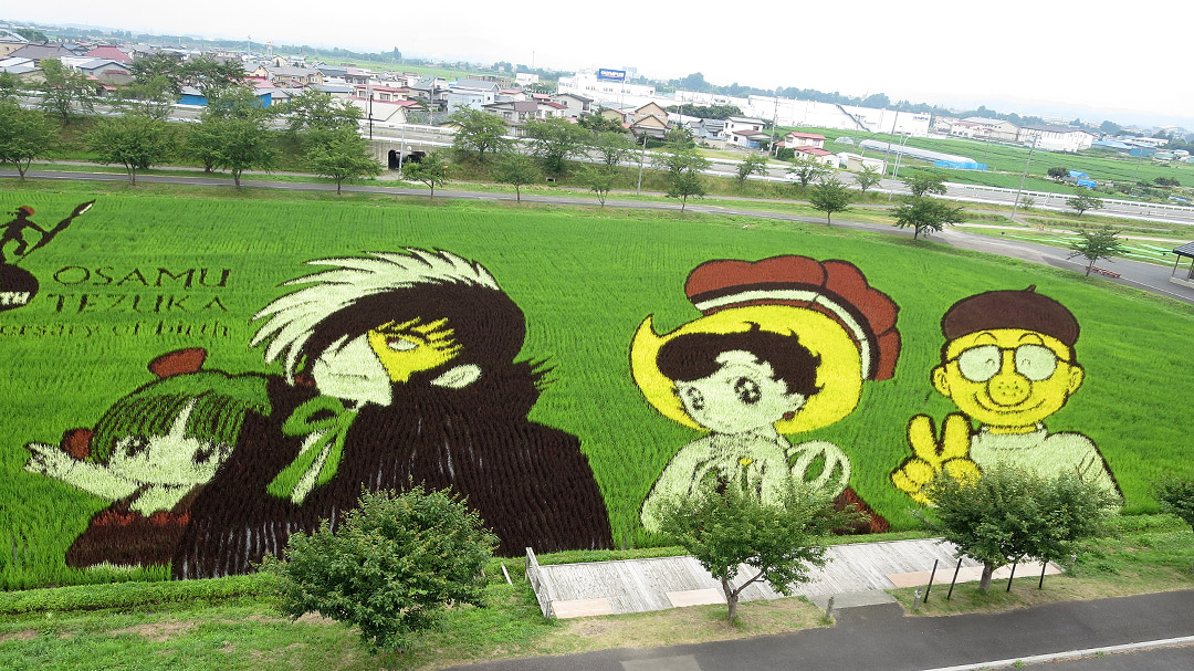 田んぼアート2018 ブラックジャック