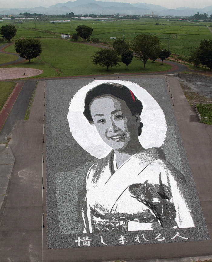 田んぼアート 2018 美空ひばり