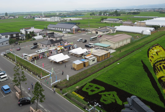 田んぼアート第一会場全景