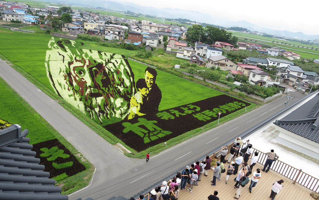 田んぼアート第一会場ローマの休日