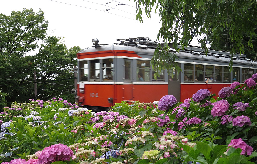 箱根登山鉄道モハ1形104