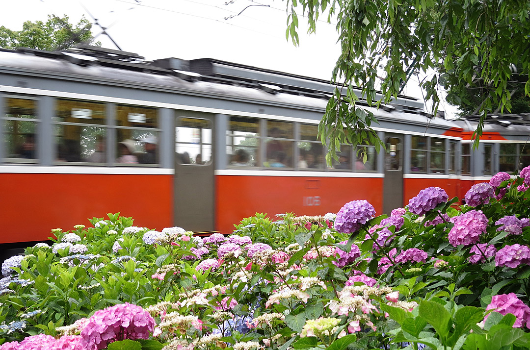 箱根登山鉄道モハ1形106