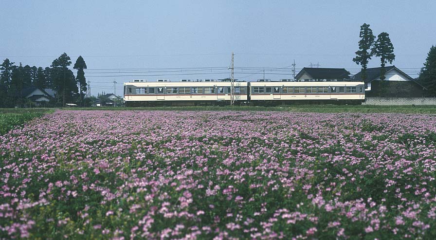 富山地鉄14760形れんげ