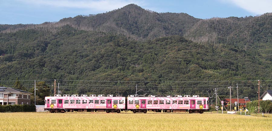 一畑電車デハ2100形2114号島根っ子号
