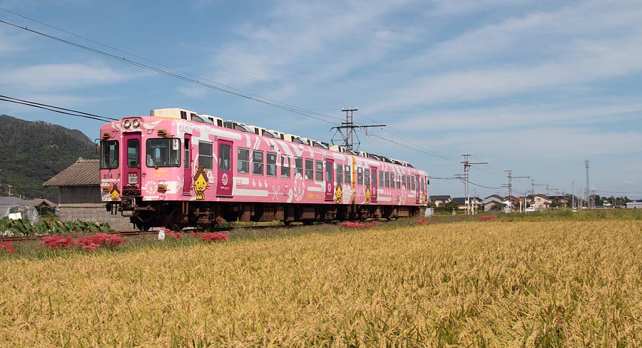 一畑電車デハ2100形2114島根っ子号