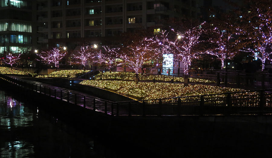 大崎 目黒川イルミネーション2015