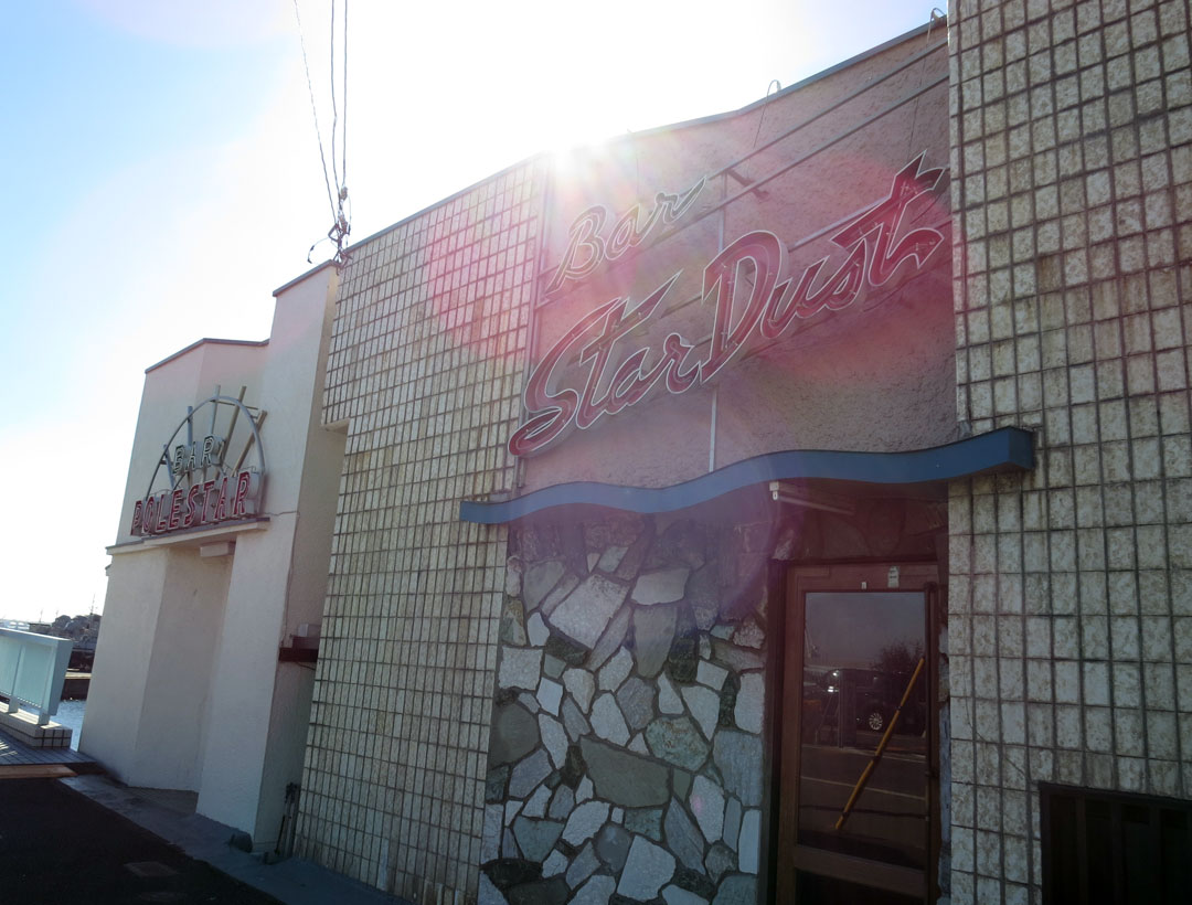 スターダスト、ポールスター